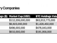 华尔街为什么选择买溢价75%的MSTR股票,而不是直接购买一个10万美元BTC